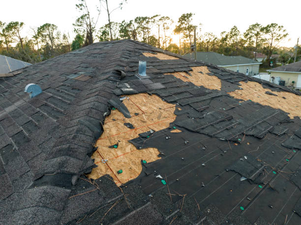 Best Roof Moss and Algae Removal  in Jurupa Valley, CA